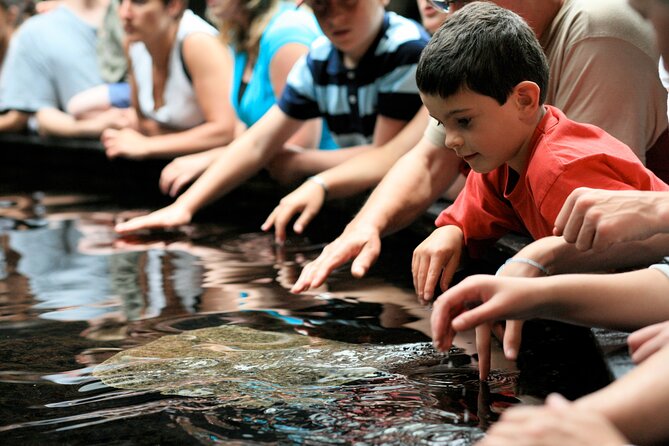 Entrance Ticket Nausicaa, the biggest aquarium in Europe - Is $36.01 a fair price?