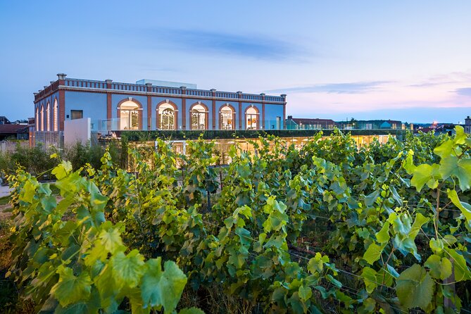 Entrance ticket to Pressoria in the heart of Champagne with Tasting - Key points to know before you go