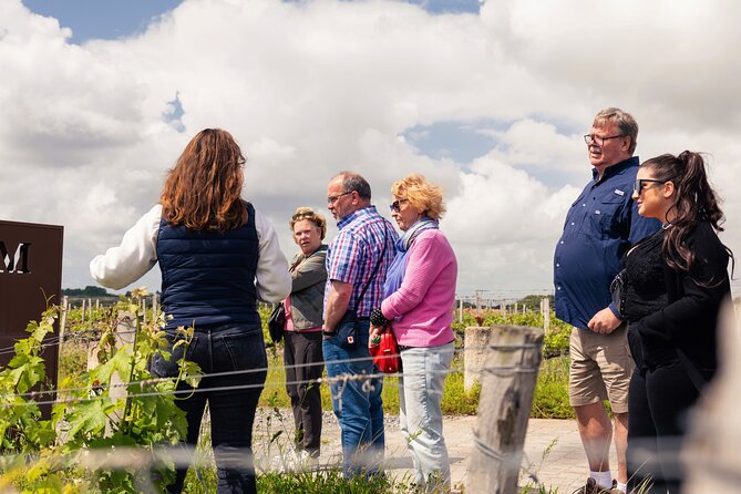 Essential Wine Tour with Tasting & Chateau Visits from Bordeaux - Why this short Bordeaux wine tour works