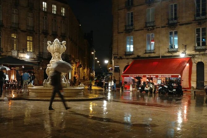 Exclusive ! Discover Vibrant Bordeaux at Night :Night Tour! - Promenade Sainte Catherine and the city center