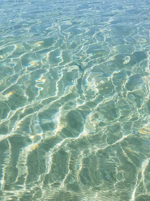 Excursion to Porquerolles Island from Bandol - Why the Bandol to Porquerolles route works