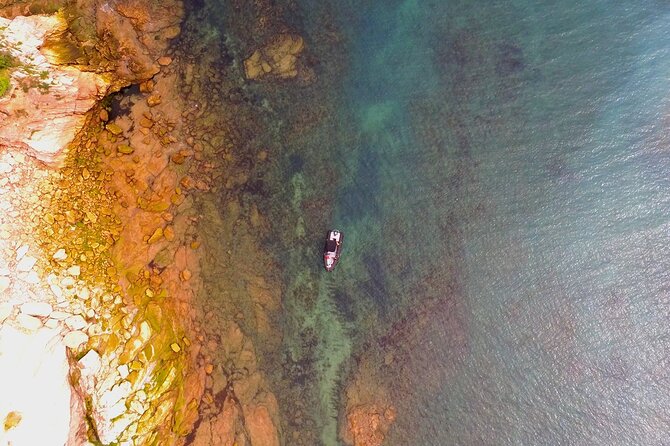 Explore the Wild Beauty of the Basque Coast by Boat - The 15-minute swim near Jaizkibel