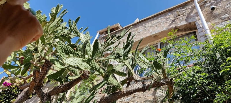 Èze: Walking Tour with a Local Guide - Notre-Dame-de-l’Assomption and its ochre interior