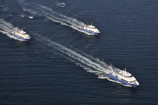 Ferry from Cannes to St Tropez - Who Should Book This Day Trip?