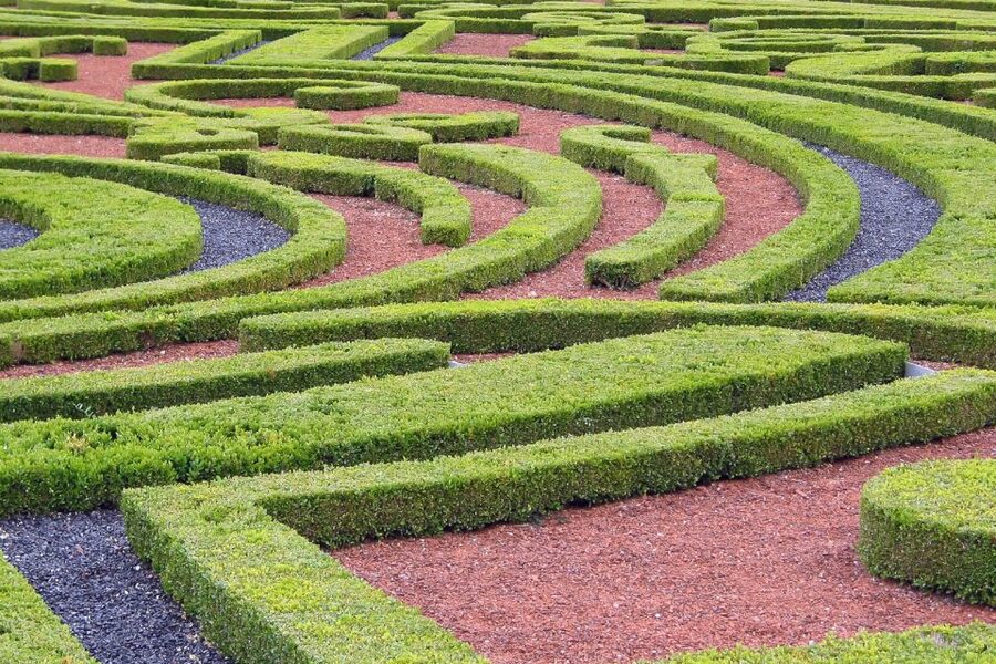 Fontainebleau & Vaux-le-Vicomte Châteaux Day Tour from Paris - Fontainebleau: seven centuries of royal living