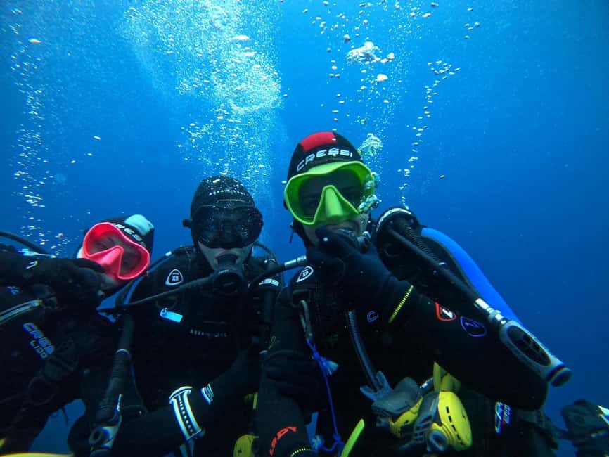 Fréjus: Diving Experience in Port-Fréjus with an Instructor - Price and value at $88