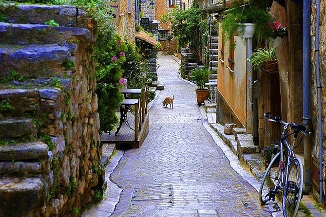French Riviera & Medieval villages Full Day Private Tour - Grasse and the scent of Fragonard