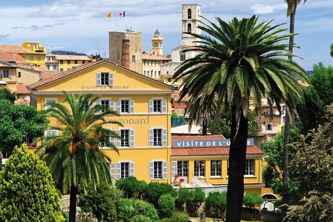 French Riviera & Medieval villages Full Day Private Tour - Tourrettes-sur-Loup and the violet tradition