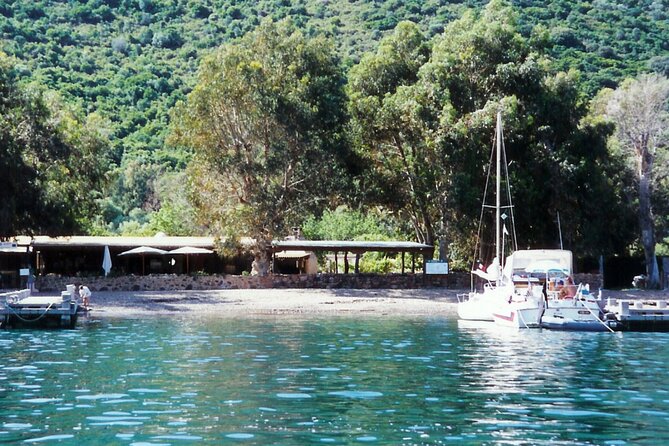 Friendly discovery of Scandola Calanques de Piana and meal stop at Girolata - Practical Tips for a Better Day
