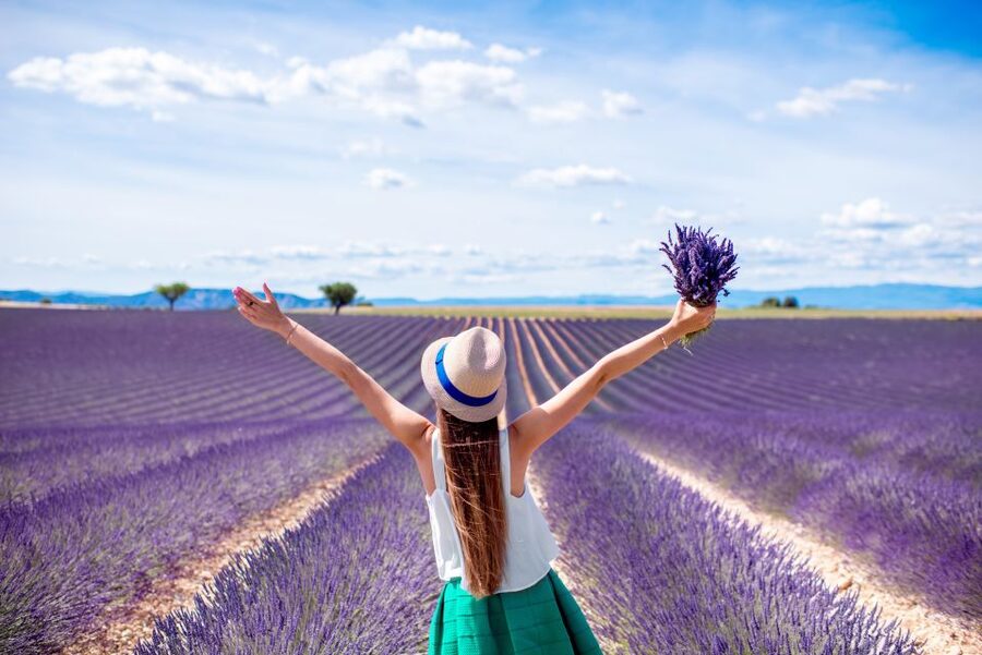 From Aix: Day Trip to Valensole Lavender Fields in Provence - The return to Aix and the real time commitment