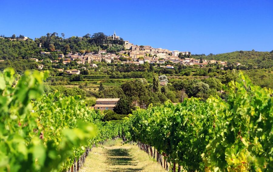 From Aix-en-Provence: Half-Day Wine Tour - First winery: a family estate and its story