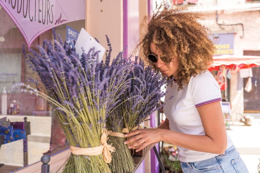 From Aix-en-Provence: Lavender Half Day Tour - Should you book the Valensole lavender tour?