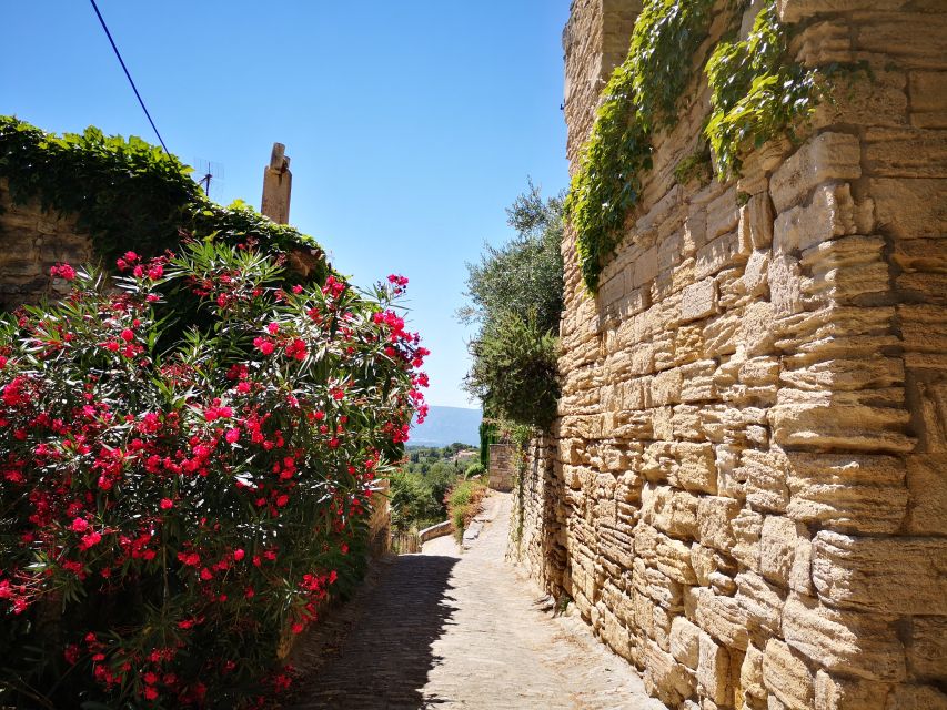 From Aix en Provence: Luberon Villages Full-Day Guided Tour - Lourmarin, architecture, and a calmer finish