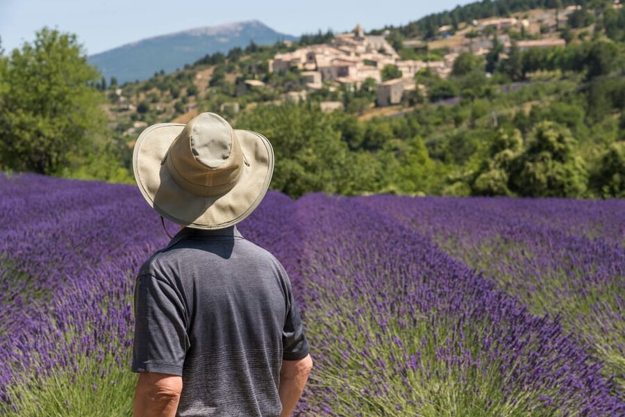 From Aix-en-Provence: Sault Lavender & Gordes Full-Day Tour - Key points to know before booking