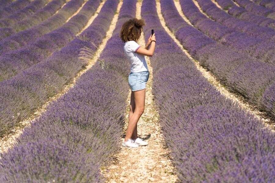 From Aix-en-Provence: Sault Lavender & Gordes Full-Day Tour - From Aix-en-Provence to the purple fields