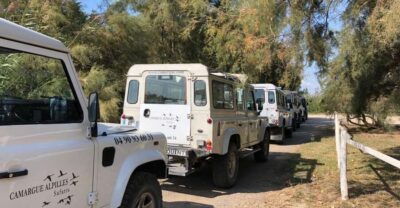 Half-Day 4×4 Camargue Safari