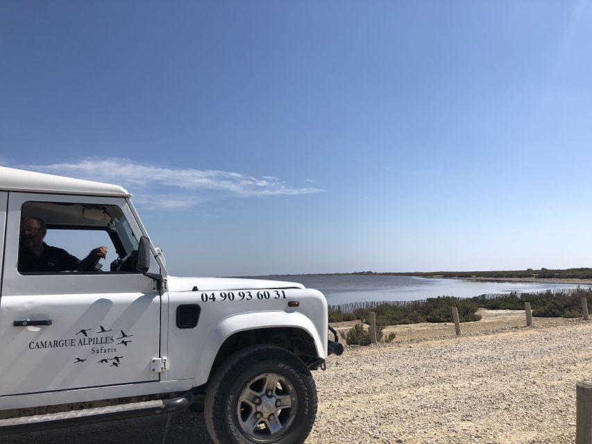 From Arles: Half-Day 4x4 Camargue Safari - Comfort, families, and practical limits