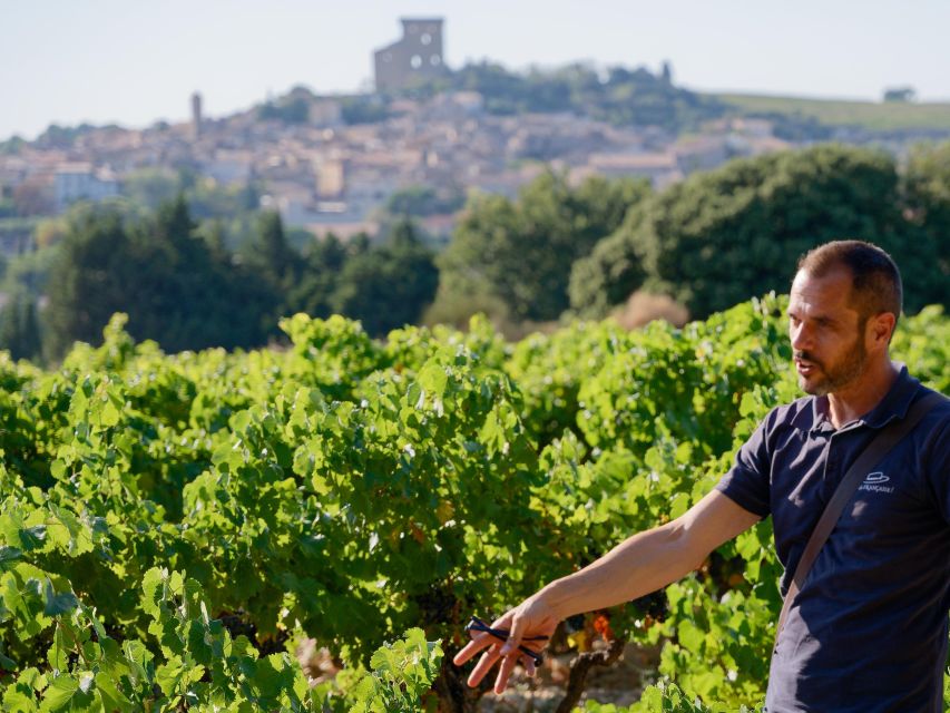 From Avignon: Châteauneuf du Pape Half-Day Wine Tour - My verdict on the Avignon wine outing