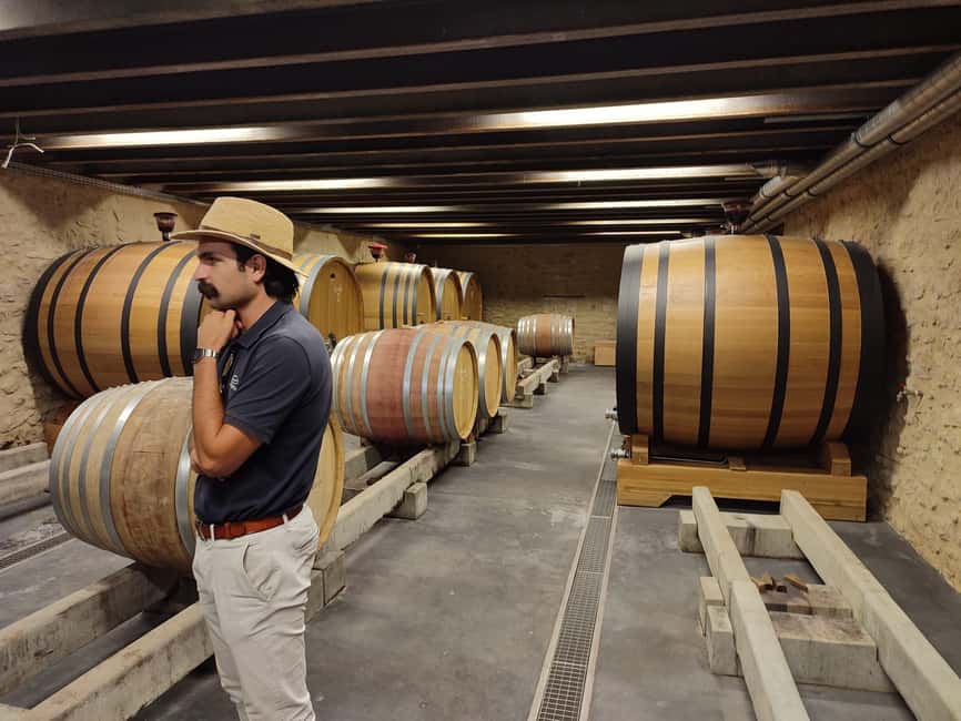 From Avignon: Châteauneuf du Pape Half-Day Wine Tour - The Pope’s summer residence and Rhône Valley views