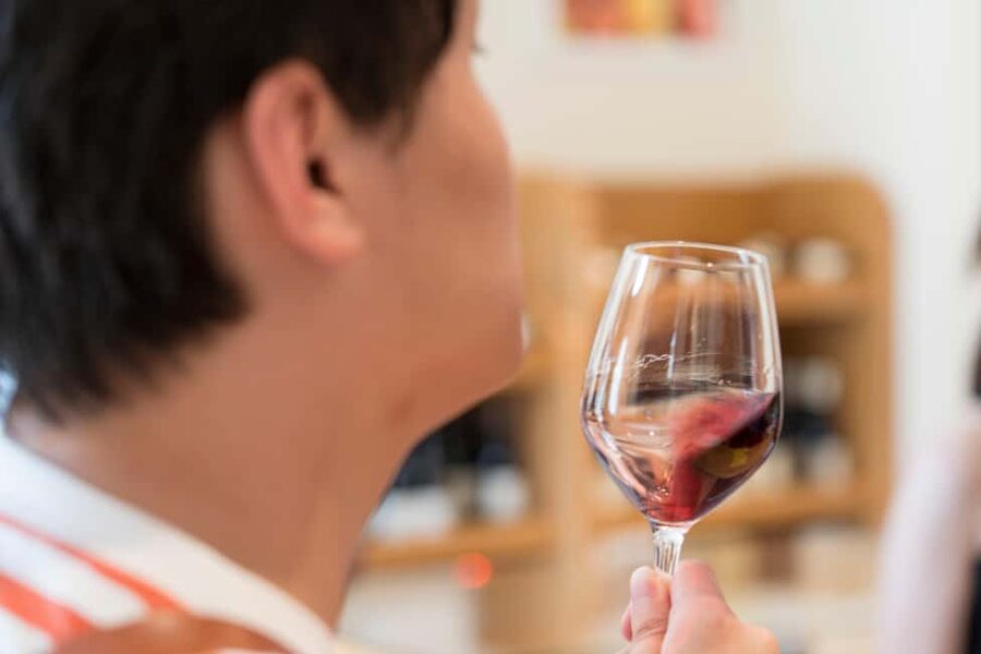 From Avignon: Châteauneuf du Pape Half-Day Wine Tour - What the guide adds to the four-hour format