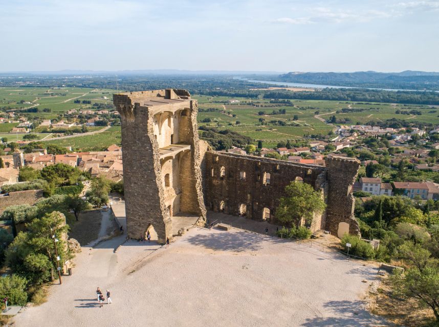 From Avignon: Châteauneuf du Pape Half-Day Wine Tour - Who will enjoy this tour most