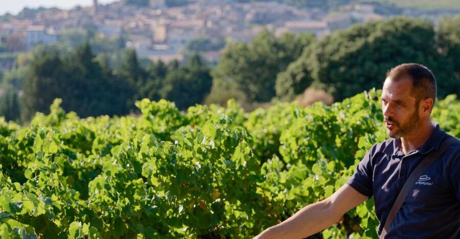 From Avignon: Châteauneuf du Pape Half-Day Wine Tour - The 45-minute ride through the Rhône Valley