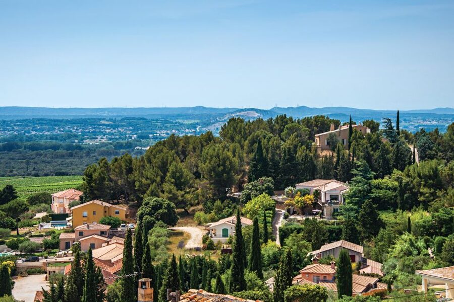 From Avignon: Half-Day Great Vineyards Tour - The guides are a major part of the experience