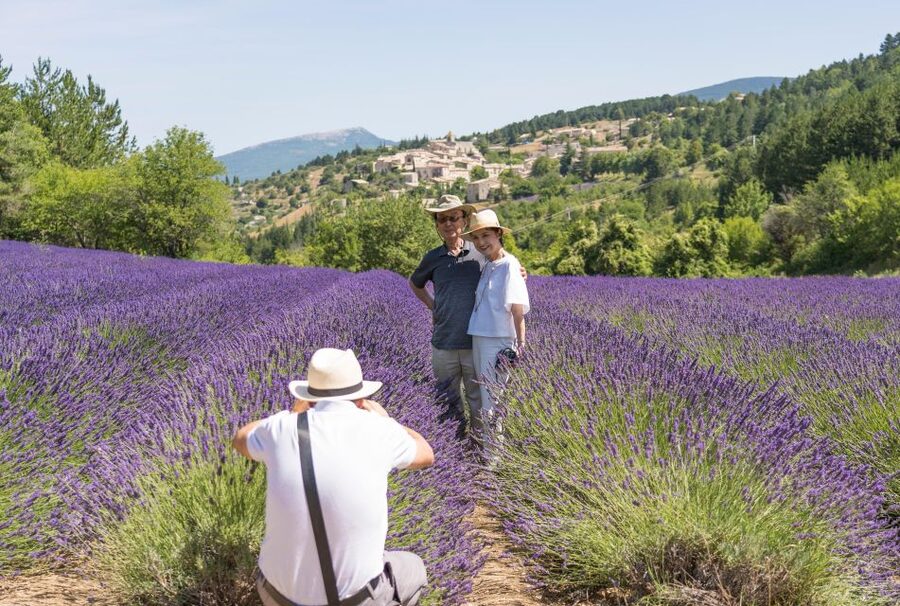 From Avignon: Half-Day Lavender Tour of Luberon - Key points at a glance