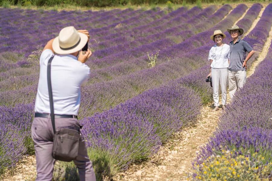 From Avignon: Half Day Lavender Tour to Sault - What the second field stop adds
