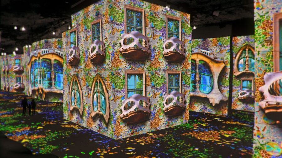 From Avignon: Half-Day Van Gogh & Carrières de Lumières Tour - Practical details for a smoother morning