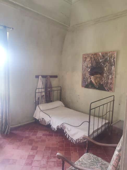 From Avignon: In the Footsteps of Van Gogh in Provence - The guides make the difference