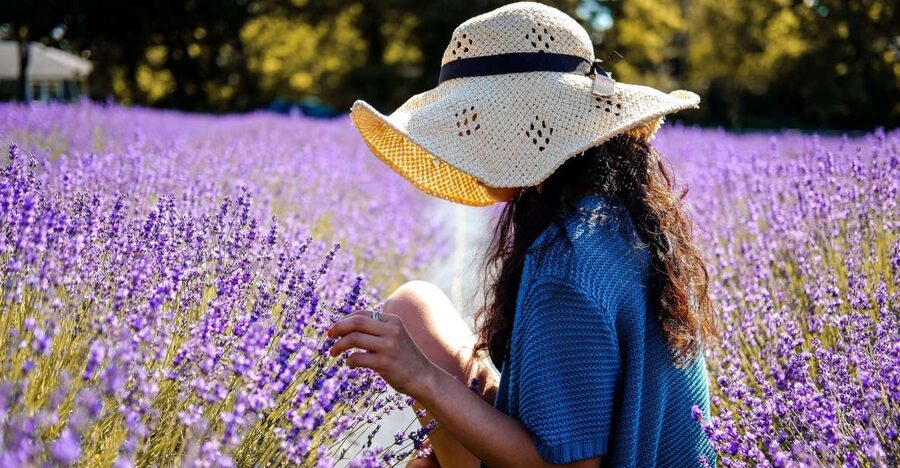 From Avignon: Lavender Fields & Luberon Village Guided Tour - The guides make the practical difference