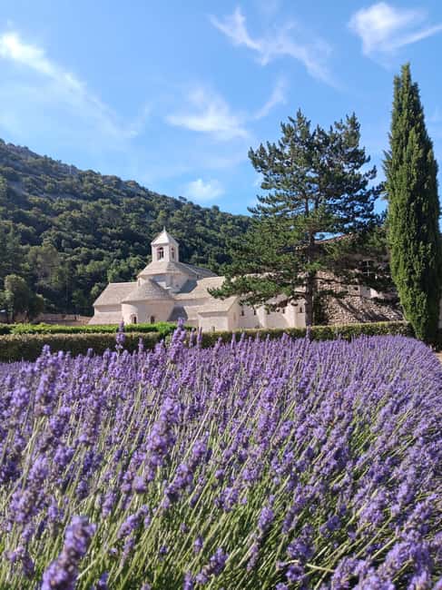 From Avignon: Lavender Villages Full-Day Tour - Choosing between Sault and Roussillon