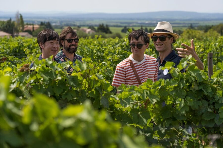 From Avignon: Luberon and Chateauneuf-du-Pape Full-Day Tour - Key points to know before you book