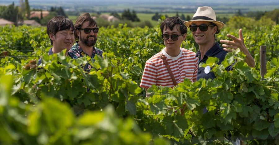 From Avignon: Luberon and Chateauneuf-du-Pape Full-Day Tour - From Avignon to Provence’s ochre country