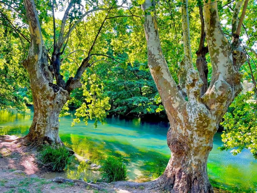 From Avignon: Provence Highlights Full-Day Tour - Fontaine de Vaucluse and the source of the Sorgue