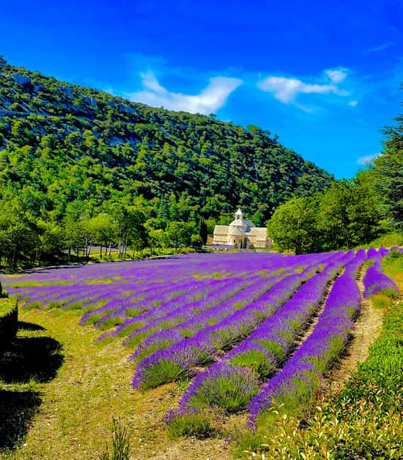 From Avignon: Provence Highlights Full-Day Tour - Gordes and the Luberon hill villages
