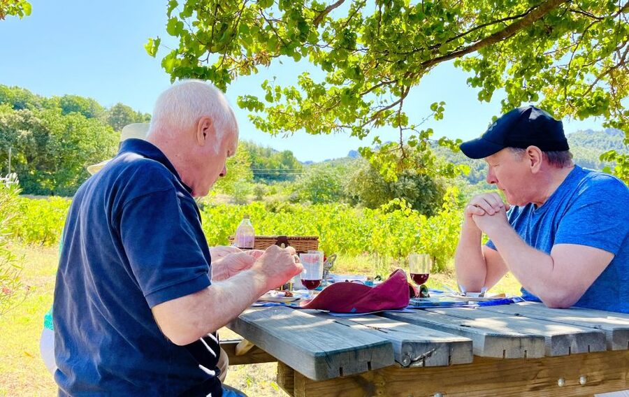 From Avignon: Roman Tour to Pont du Gard, Nîmes & Orange - Key points to know before booking
