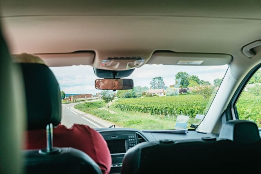 From Beaune: Burgundy Day Trip with 14 Wine Tastings - What $294 buys you