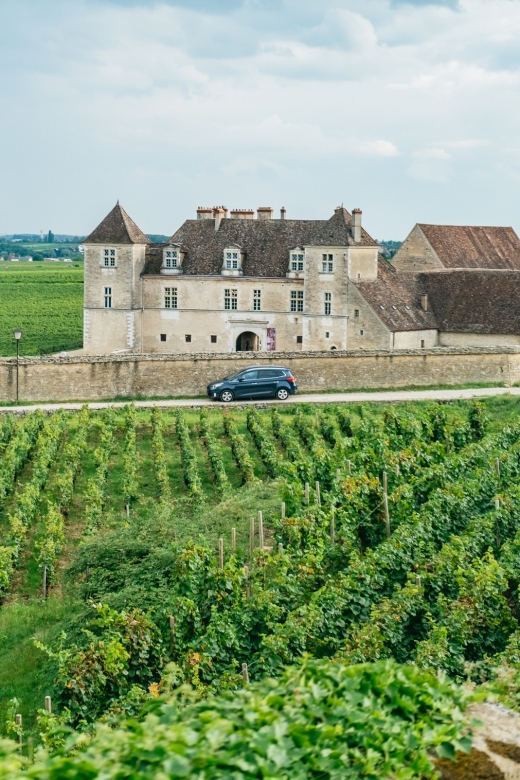 From Beaune: Burgundy Day Trip with 14 Wine Tastings - The first Beaune-area tasting