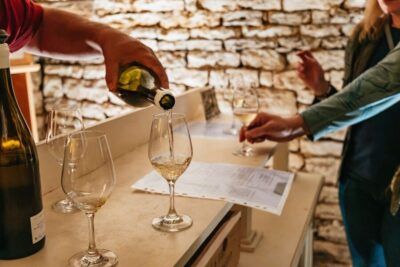 Burgundy Day Trip with 14 Wine Tastings