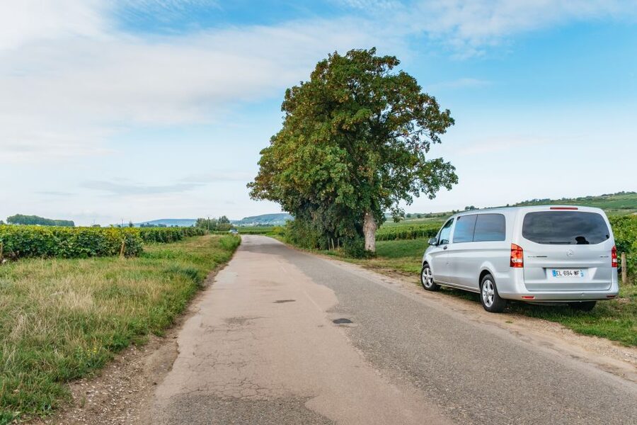 From Beaune: Burgundy Day Trip with 14 Wine Tastings - The Route des Grands Crus and Romanée-Conti