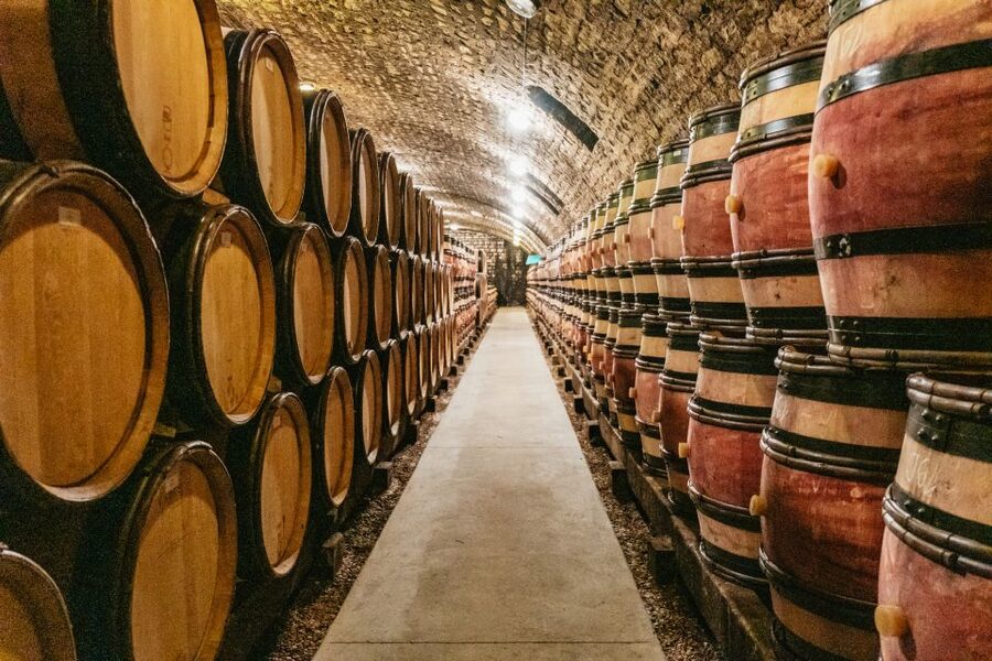 From Beaune: Burgundy Day Trip with 14 Wine Tastings - Clos de Vougeot and its medieval roots
