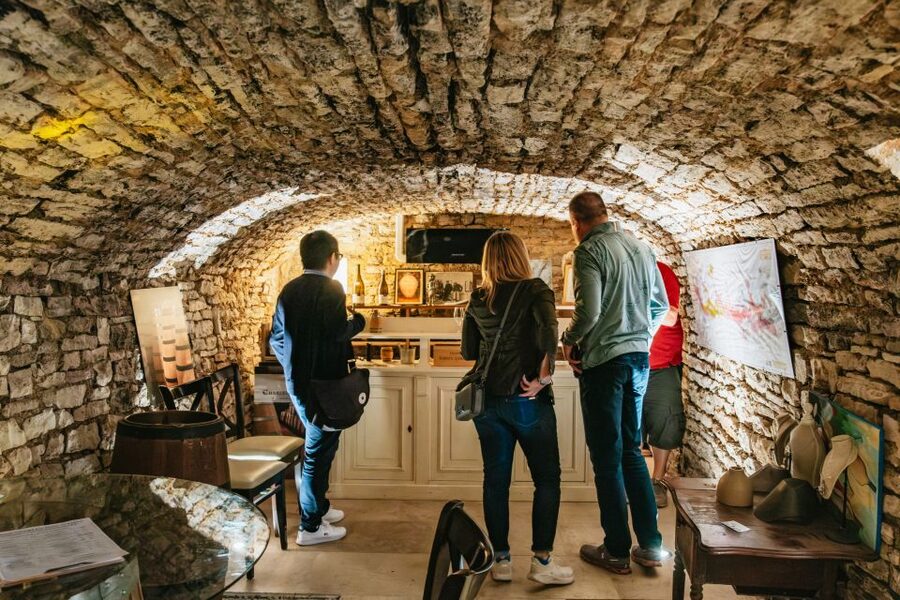 From Beaune: Burgundy Day Trip with 14 Wine Tastings - Nuits-Saint-Georges with a winemaker