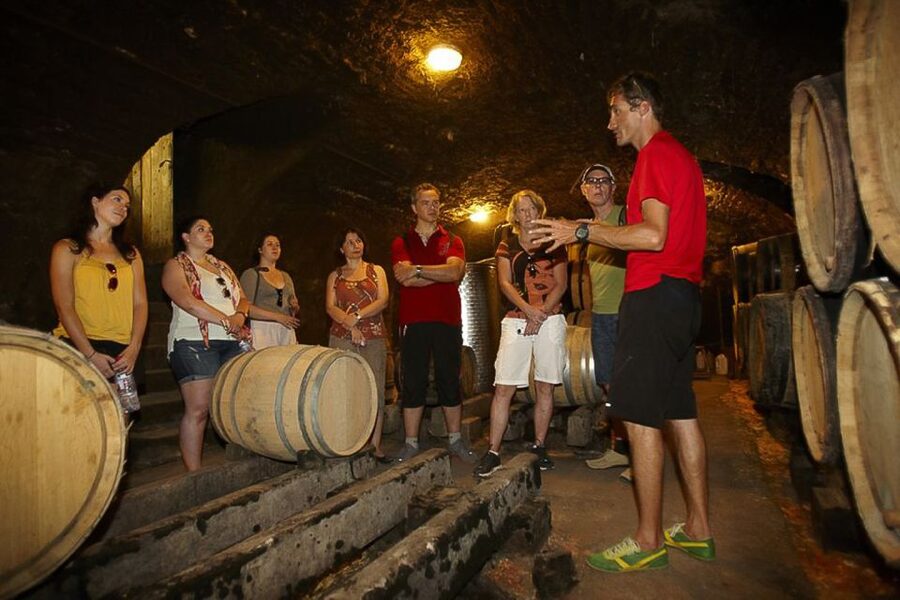 From Beaune: Full-Day Bicycle and Wine Tour in Burgundy - Key points to know before you book