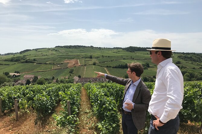 From Beaune: Full day the most of Burgundy, with lunch - Key points at a glance