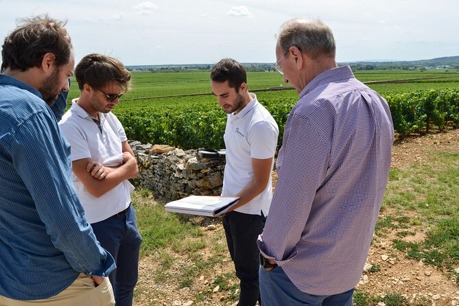 From Beaune: Full day the most of Burgundy, with lunch - Small-group transport from Beaune