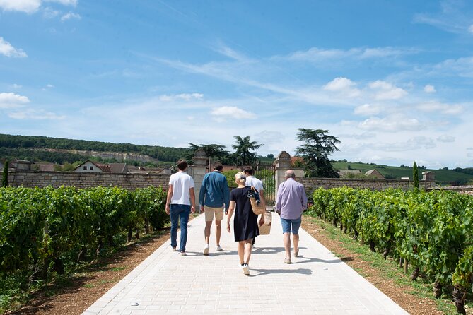 From Beaune: Full day the most of Burgundy, with lunch - Starting at the Côte de Beaune estate