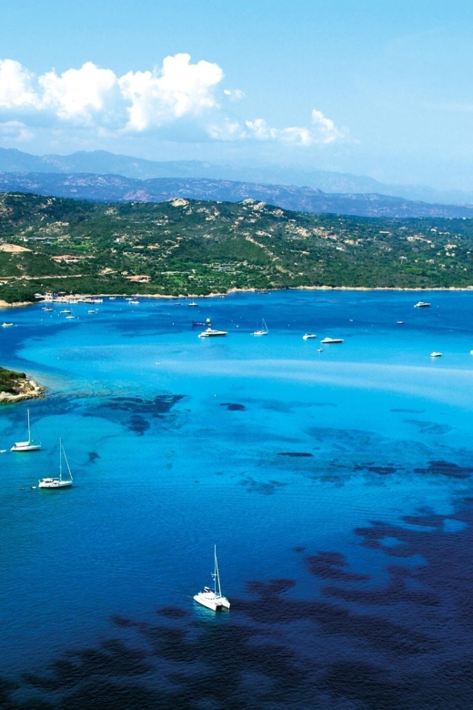 From Bonifacio: Cruise of the Cliffs and the Lavezzi Islands - Who should book this Bonifacio cruise?
