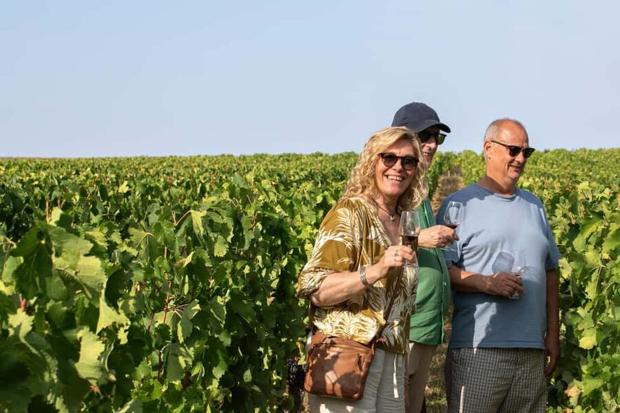 From Bordeaux: Afternoon Saint-Emilion Wine Tasting & snack - Key points at a glance